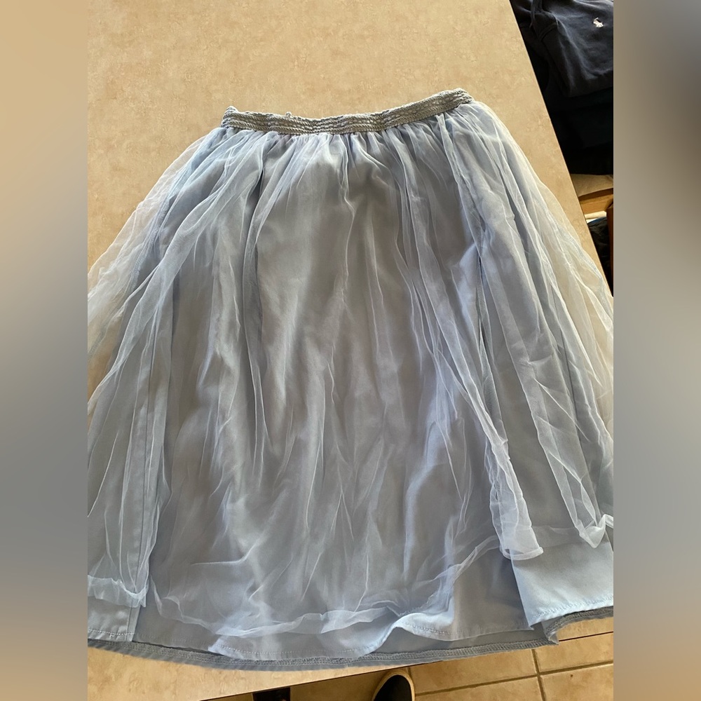 Tulle Skirt